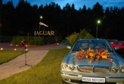 Jaguar Day праздник благополучия.