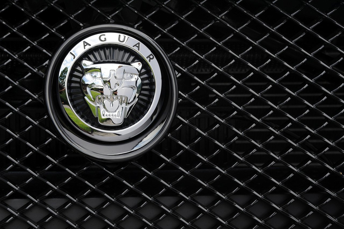 Jaguar XF: Кошачья территория